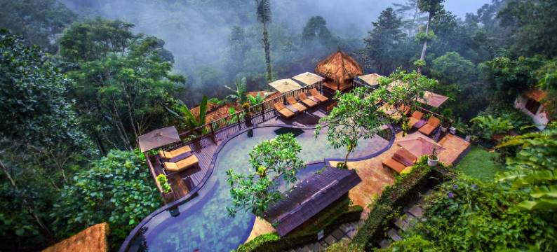 空中花园南迪尼丛林酒店(Nandini Jungle by Hanging Gardens)图片