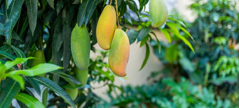 玖福度假酒店(建水紫陶街店)图片