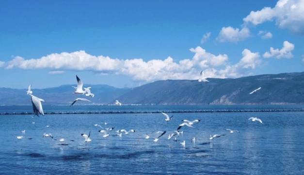 DaLi檀雨丨洱湾光祇Moon Sea海景美宿(大理洱海S弯生态廊道店)图片