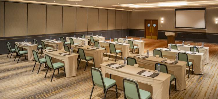 卢萨卡假日酒店(Holiday Inn Lusaka)图片