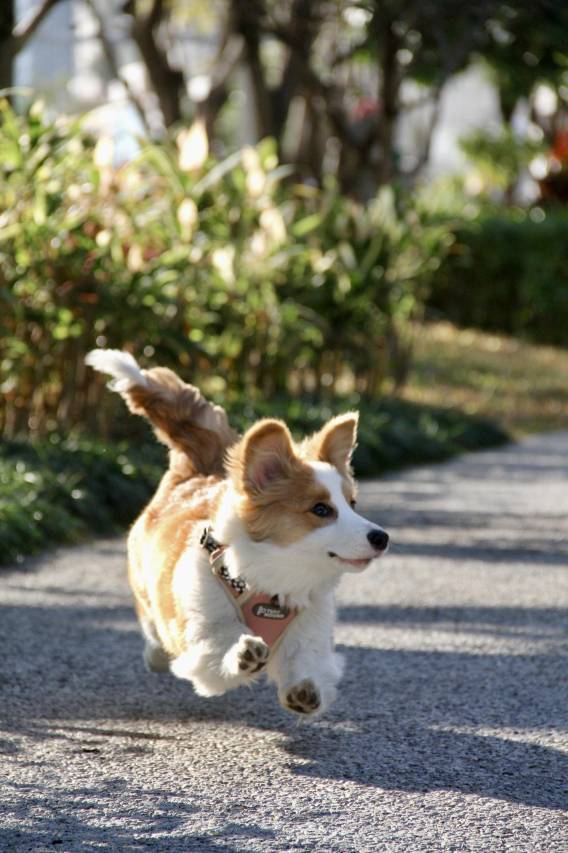 定窑文化民宿(保定总督署西大街店)图片