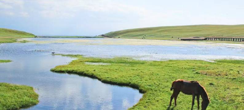 和静泓祥酒店(和静县县政府店)图片