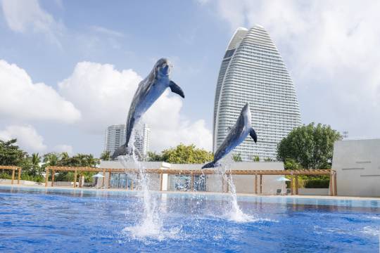 三亞亞特蘭蒂斯酒店