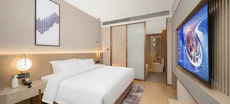 麗枫酒店(郑州新郑国际机场航站楼店)图片