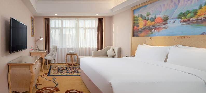 维也纳智好酒店(揭阳惠来葵和大道隆江店)图片