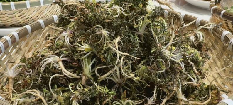 潍坊汉斯威士国际酒店(鲁台会展中心店)图片