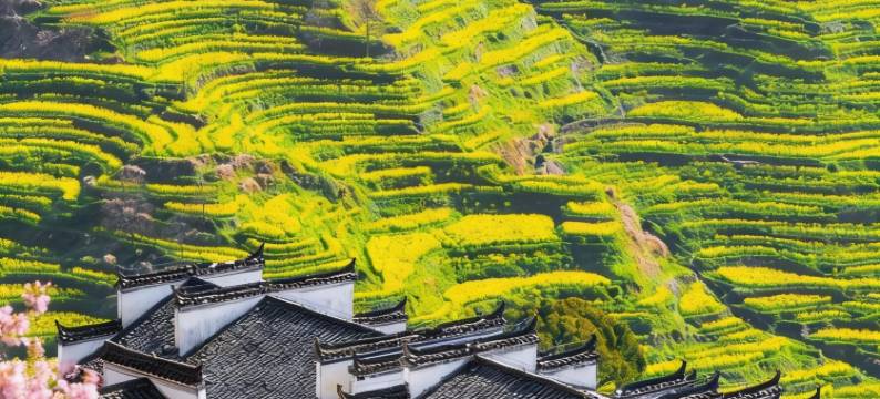 山通源·轻奢度假美宿(篁岭风景区店)图片