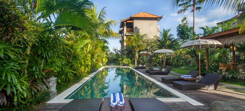 The Runik by GenuineHost图片