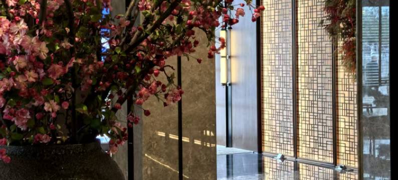 大隐西城明珠酒店图片