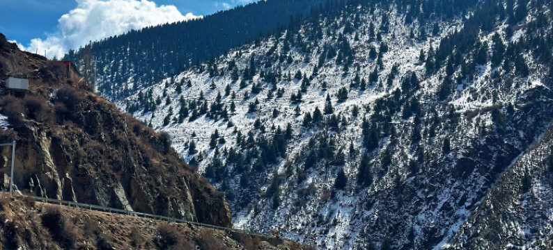 盛方大酒店(左贡店)图片