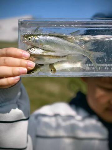 未迟·云梦泽民宿(梓有集店)图片