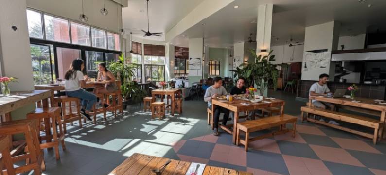 普利姆勒海滩酒店(Primula Beach Hotel)图片