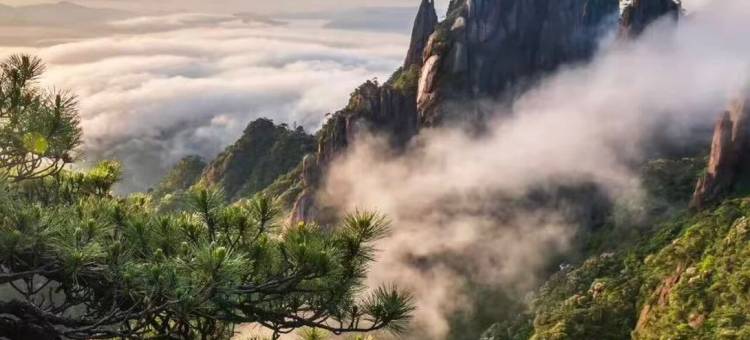 又见青山Clouds花园美宿(三清山风景区店)图片