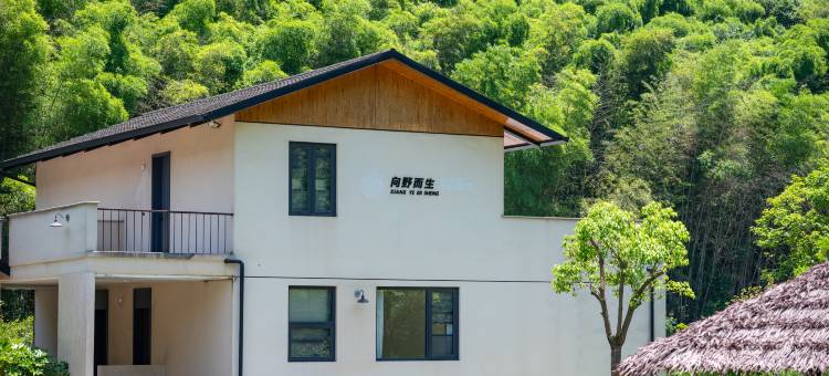向野而生·夏意(绍兴店)图片