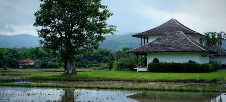 清迈三也 Plus 度假村｜稻田山景独栋 团建旅拍露营(Sunyee Plus Resort)图片
