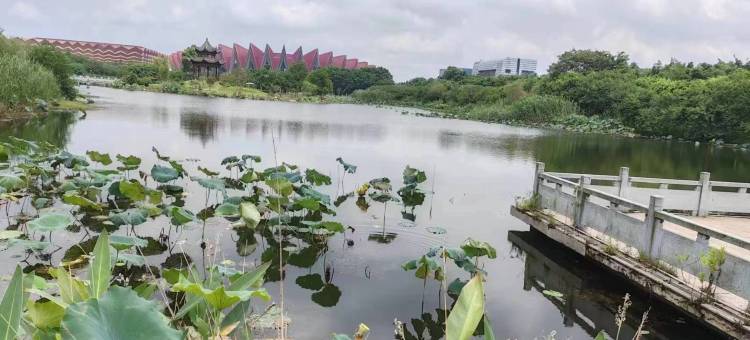 荷花苑酒店(铜陵学院店)图片