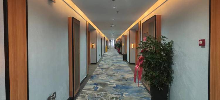 丽都壹号酒店图片