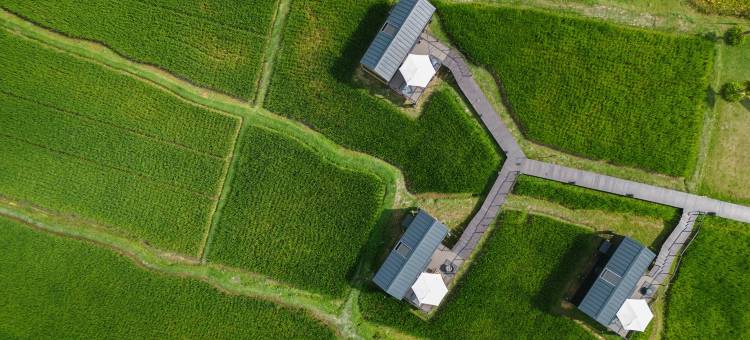 巴厘岛乌布博博卡宾酒店(Bobocabin Ubud, Bali)图片