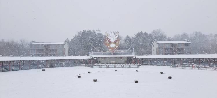 磐安龙凤客栈(中华舞龙故乡景区店)图片