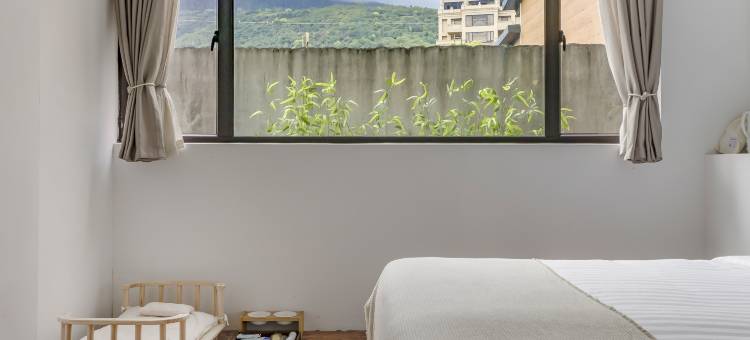 花莲熊顶｜宠物友善图片