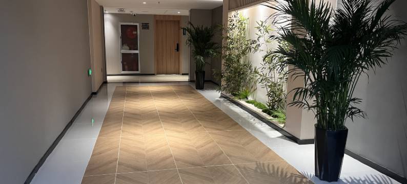 竹林精舍酒店图片