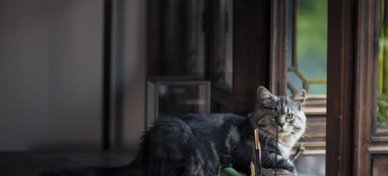 朱家角井亭民宿图片