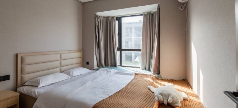 老君山君尚居民宿图片