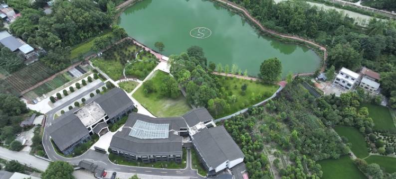 临江仙养生度假酒店图片