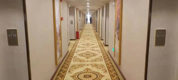 维也纳智好酒店(九江沙头店)图片