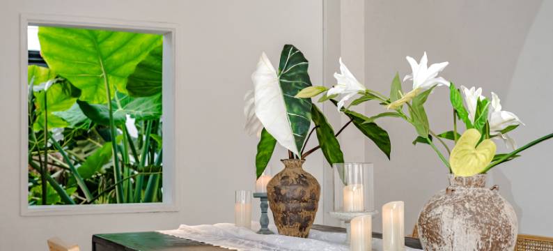 植无界民宿图片