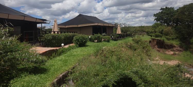 Mtito野生动物营地(Mtito Safari Camp)图片