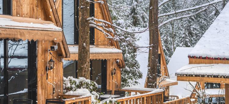 彭州挪威森林溪舍Forest hiking私汤民宿图片