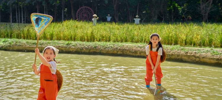 西双版纳洲际度假酒店图片