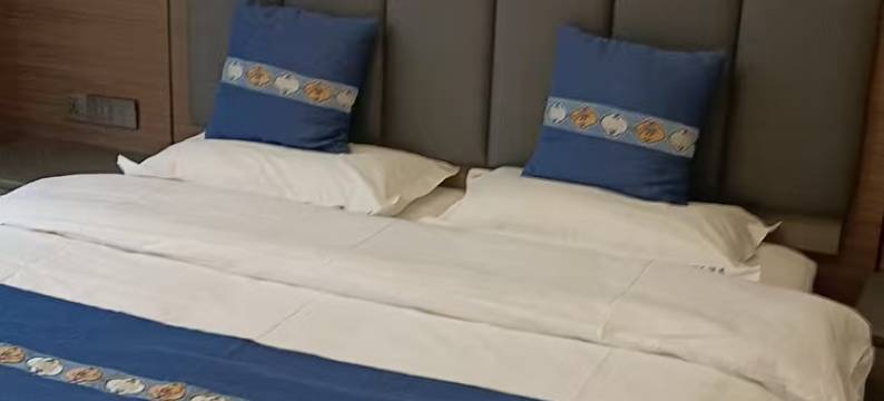 雅舒乐酒店图片