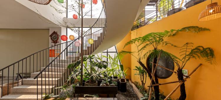 长安舒适之家(Trang An Cozy House)图片