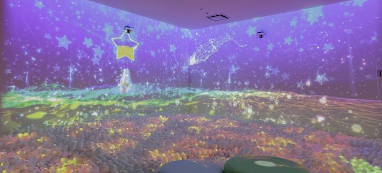 鸭川龟之井酒店(Kamenoi Hotel Kamogawa)图片