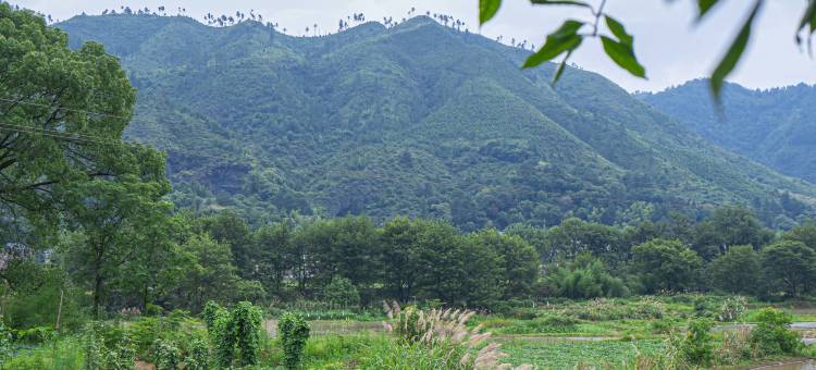 谷隐·青山外自然艺术院景美宿(望仙谷景区店)图片