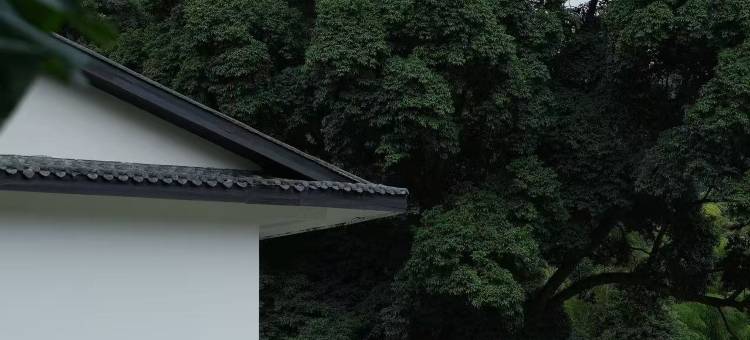 峨眉山晓山青野奢度假民宿图片