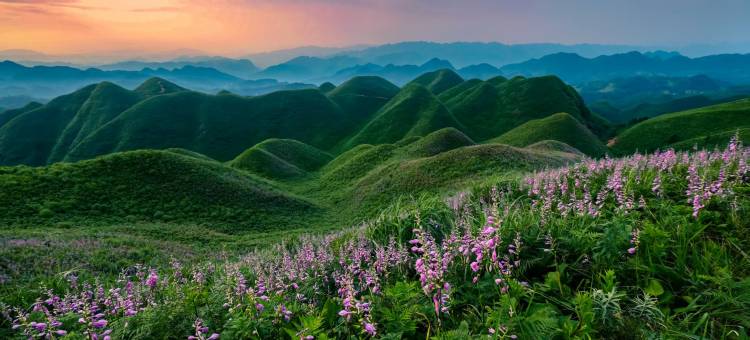 今夜星辰酒店图片