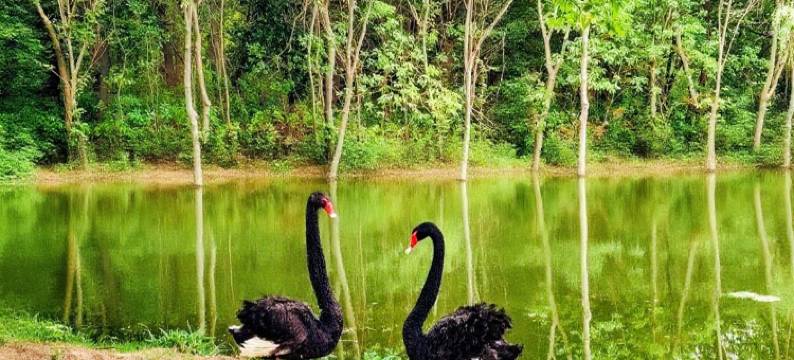 溧阳•锦桂园民宿(天目湖旅游度假区店)图片