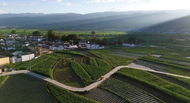 沙溪·溪上彦玉民宿图片