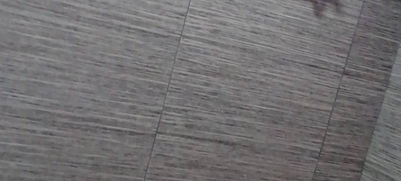 阳朔美雅酒店图片