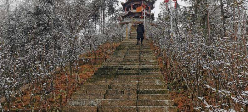 炎陵神农谷.密花生态园图片