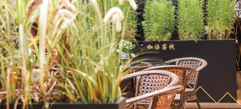 杭州浙畔里·咖语客栈(青芝坞浙大玉泉校区店)图片