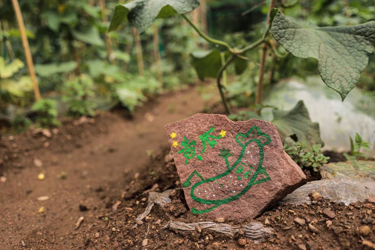 携程度假农庄(河南安阳林州石板岩店)图片