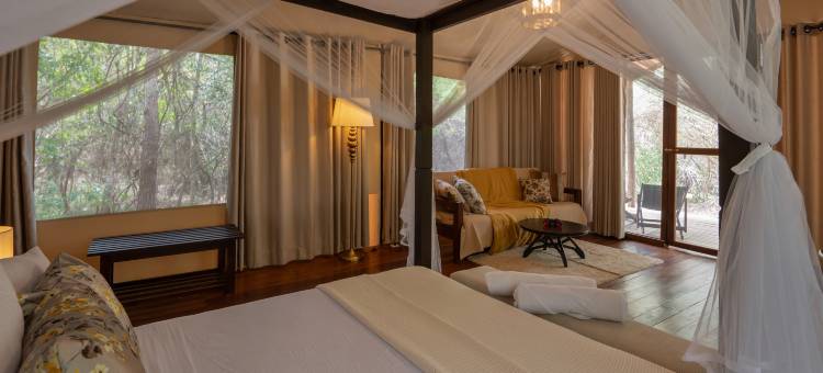 威尔帕图荒野(Wilds Wilpattu)图片