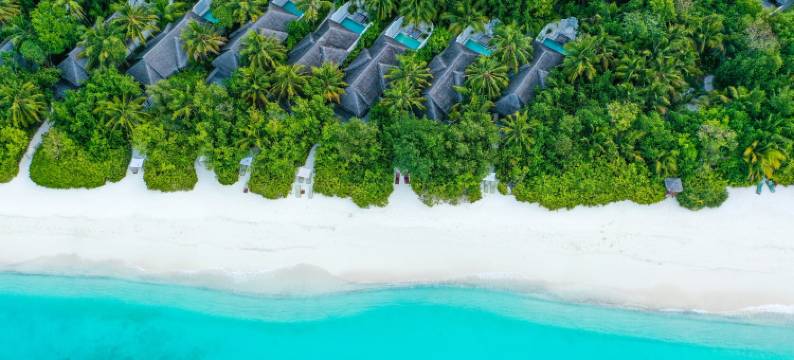 可可棕榈波杜希蒂(Coco Bodu Hithi)图片