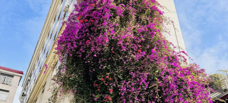 阳江海逸酒店(百利广场店)图片