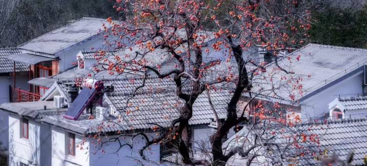 华美达安可酒店(潍坊临朐朐山路龙韵文化城店)图片