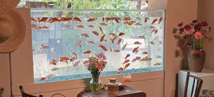 山与岚丨日照金山·Homestay雪山观景度假花园美墅(白沙古镇店)图片